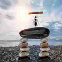 定‌制‌移﻿动‌端‌优‍化‌脚‍本​